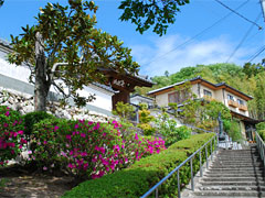 「来迎寺」参道